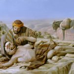 Tiến Bước Cùng Với Đức Giáo Hoàng Phanxicô – Số 30 – Nhìn Xem Kìa, Họ Yêu Thương Nhau Biết Bao!