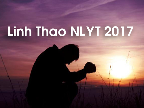 LinhThao NLYT 2017