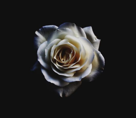 Bài 23 – Chay Tịnh