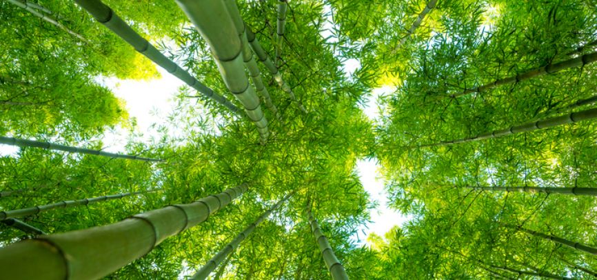 Bài 28 – Trưởng Thành Qua Các Cám Dỗ P1