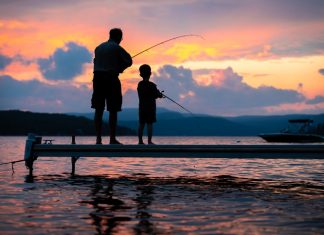 Be a Teacher, not an “Oracle” – Hãy trở thành một người dẫn dắt, đừng là một “Oracle – nhà tiên tri”